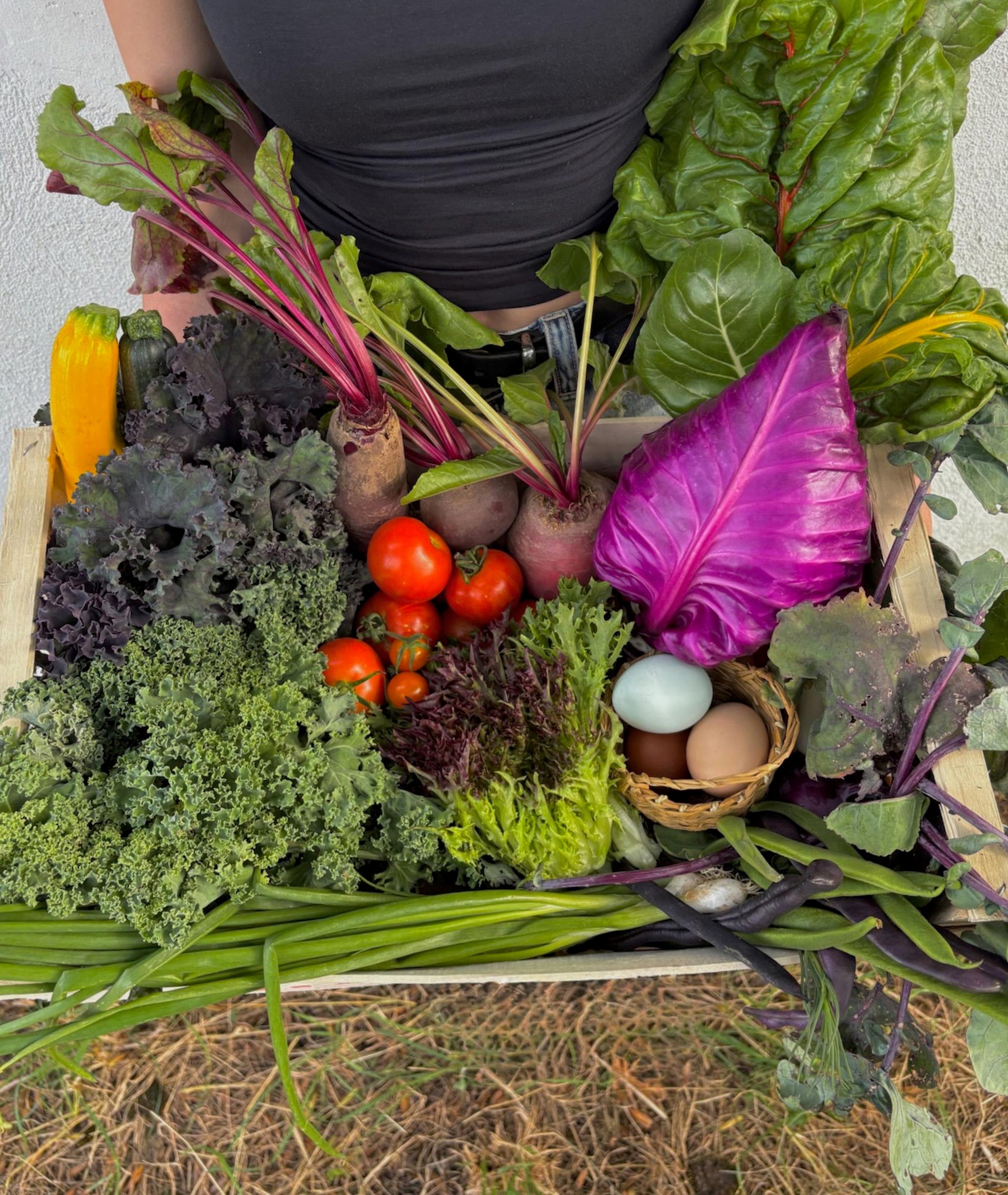 Small Wild Harvest Veg Box