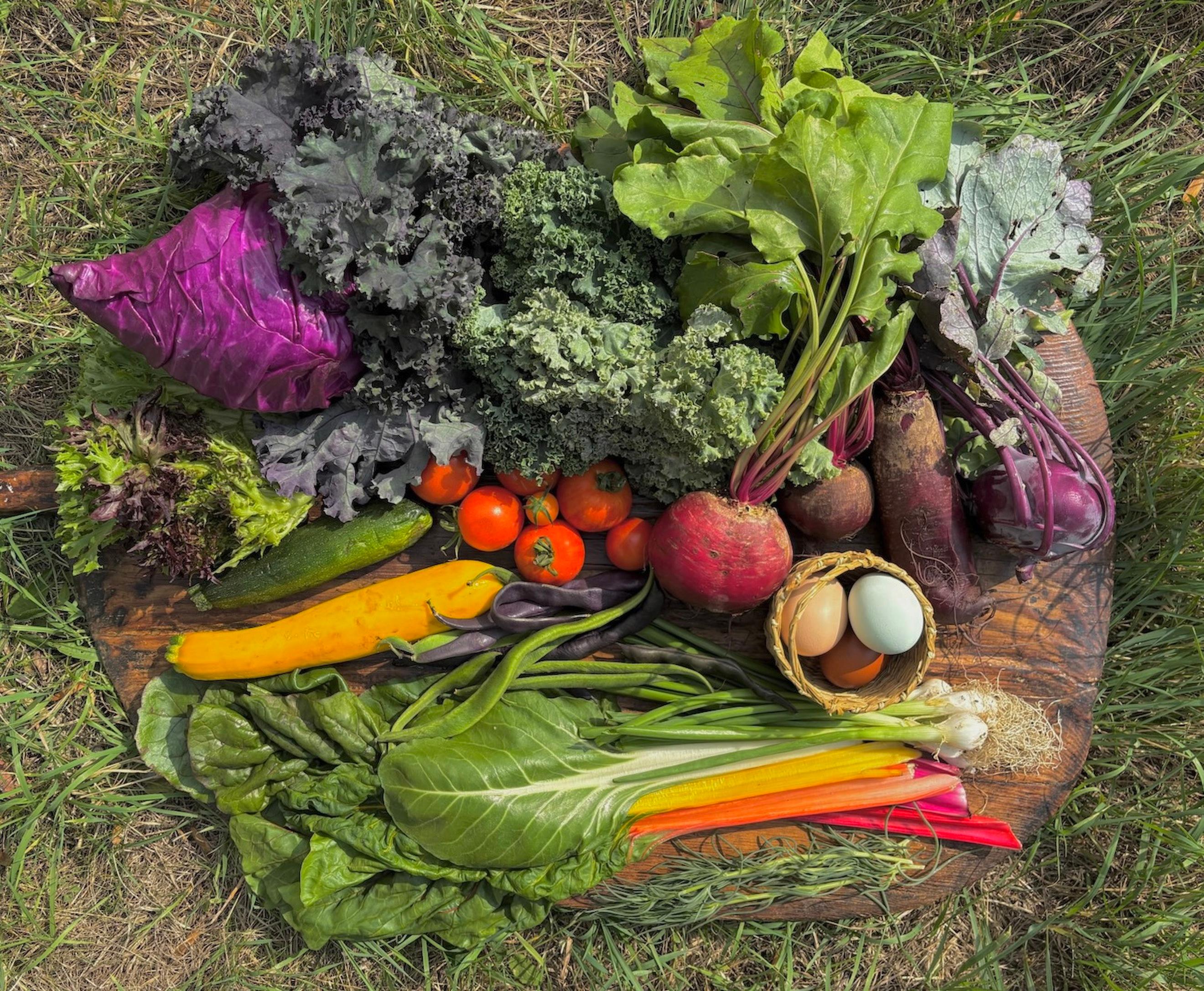 Medium Wild Harvest Veg Box