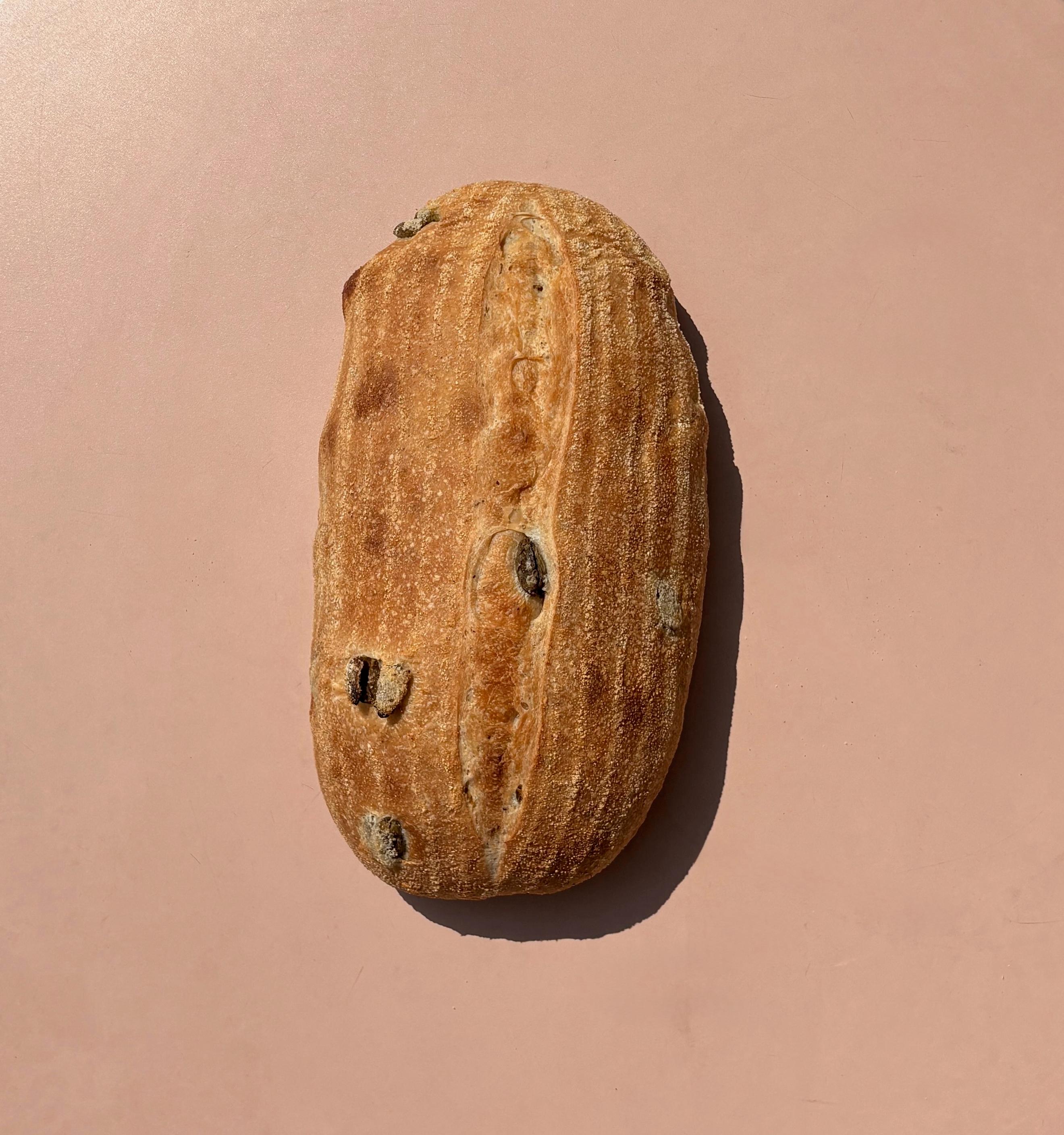 Olive Ciabatta
